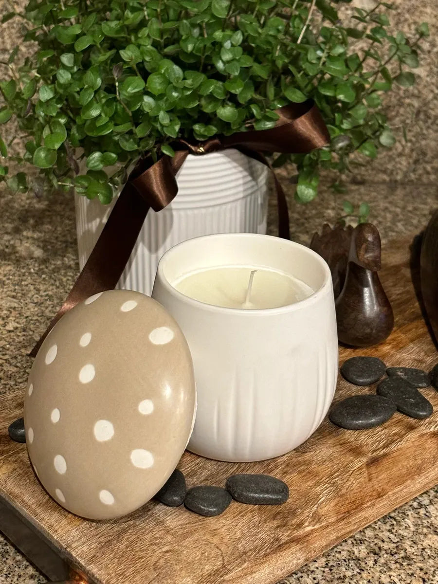 Bella Apothecary Soy Wax Candle – Forest Rain & Earthy Calm | 12 oz