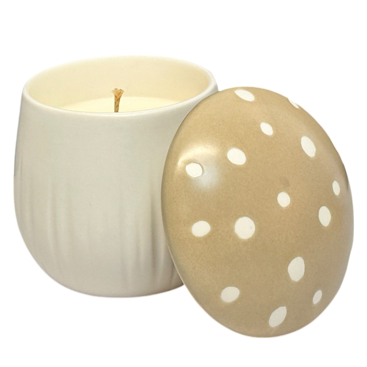 Bella Apothecary Soy Wax Candle – Forest Rain & Earthy Calm | 12 oz
